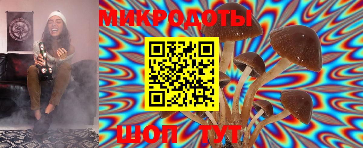 Кисловодск  Галлюциногенные грибы мухоморы  Вход с VPN 